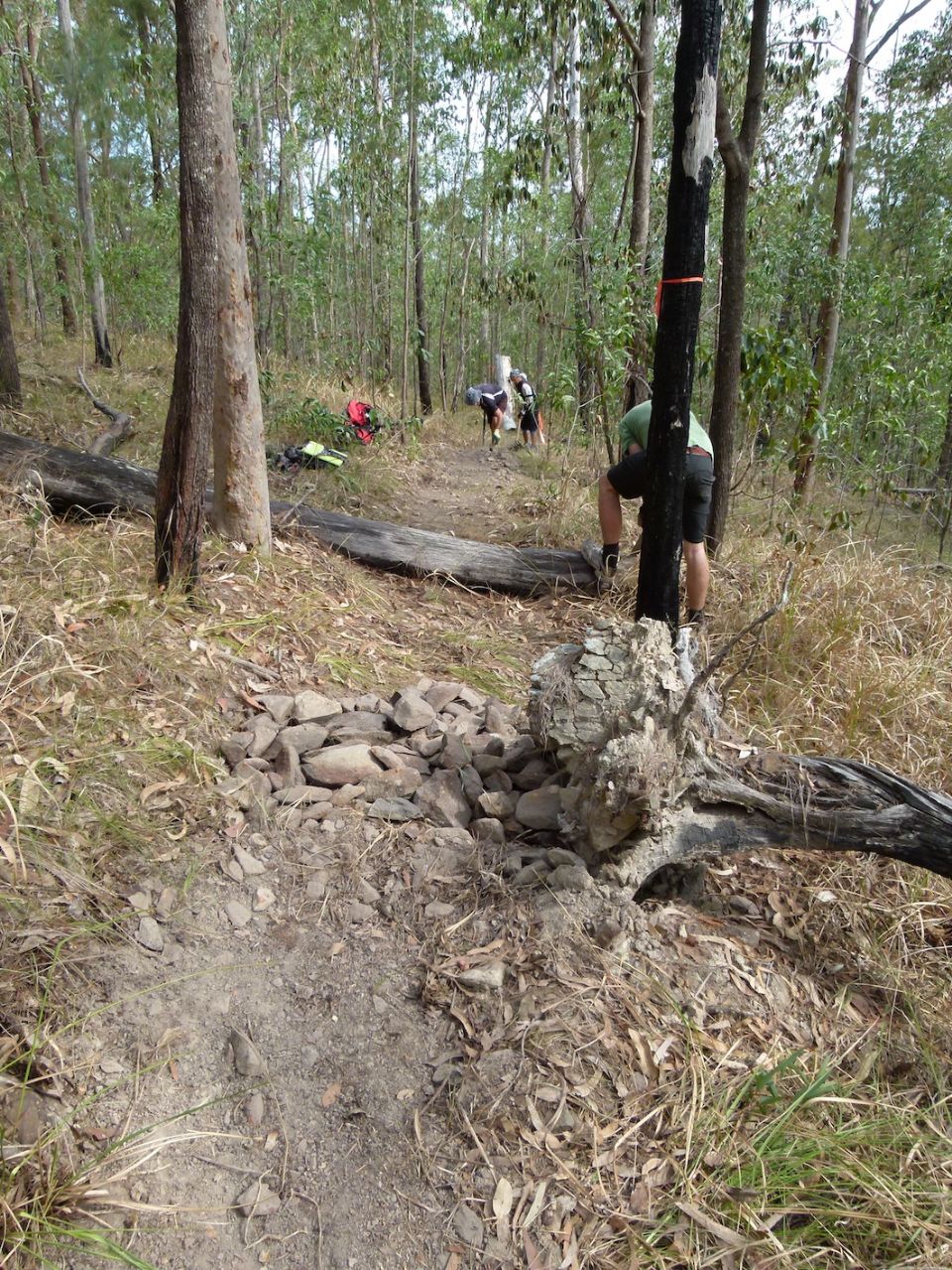 Looking down trail